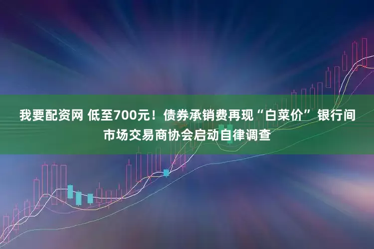 我要配资网 低至700元！债券承销费再现“白菜价” 银行间市场交易商协会启动自律调查