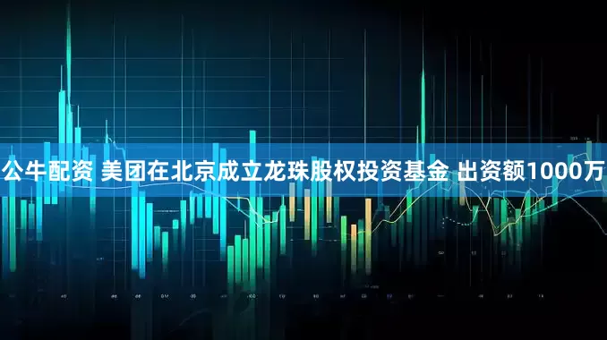 公牛配资 美团在北京成立龙珠股权投资基金 出资额1000万